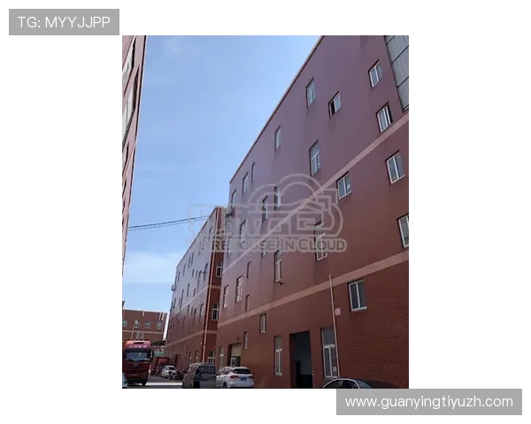 开云网站最新界面全面升级引领奢侈品电商新潮流 开云网站最新界面全面升级引领奢侈品电商新潮流